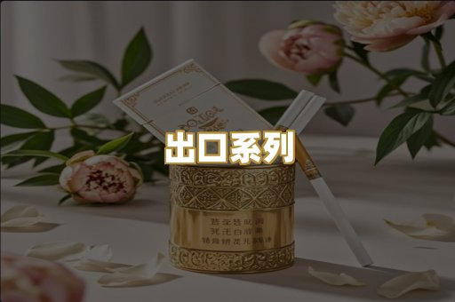 出口系列